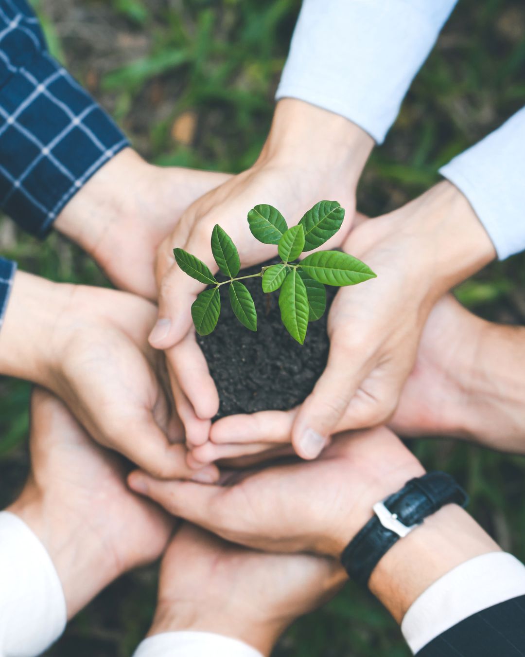 photo de colla la biodiversité